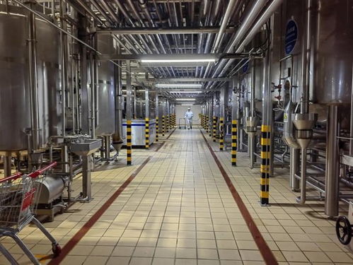 二十四節氣看蒙牛丨夏至走進蒙牛低溫天津工廠