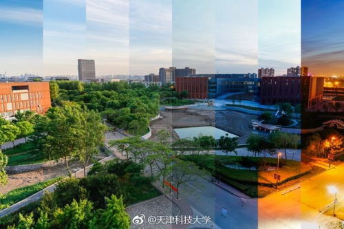 美麗校園我參與之天津科技大學(xué)