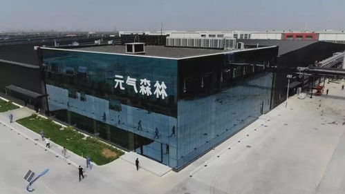 為什么元?dú)馍?，多?shù)品牌學(xué)不會(huì)？