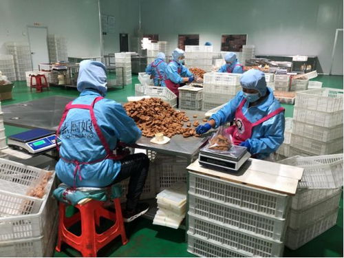 這樣的餐桌 無(wú)肉也歡 天津科技助力健康飲食十項(xiàng)行動(dòng)見(jiàn)行見(jiàn)效